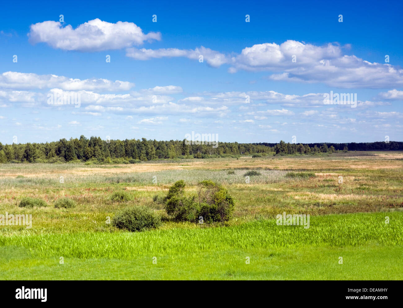 Landschaft in der Nähe von Kopytkowo, Biebrzanski Nationalpark, Polen, Europa Stockfoto