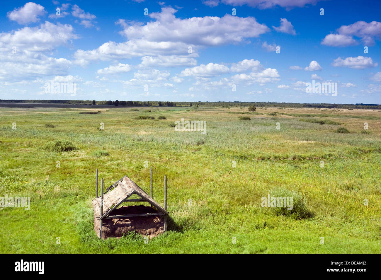 Verlassenen Schuppen in Landschaft in der Nähe von Kopytkowo, Biebrzanski Nationalpark, Polen, Europa Stockfoto