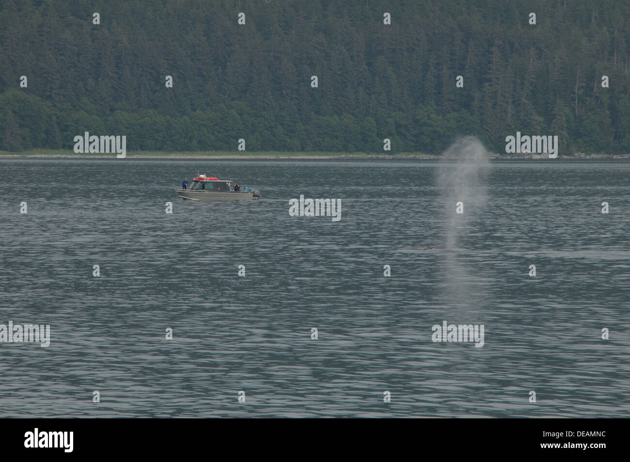 Juneau, Ketchikan, Skagway Alaska USA Stockfotografie Alamy