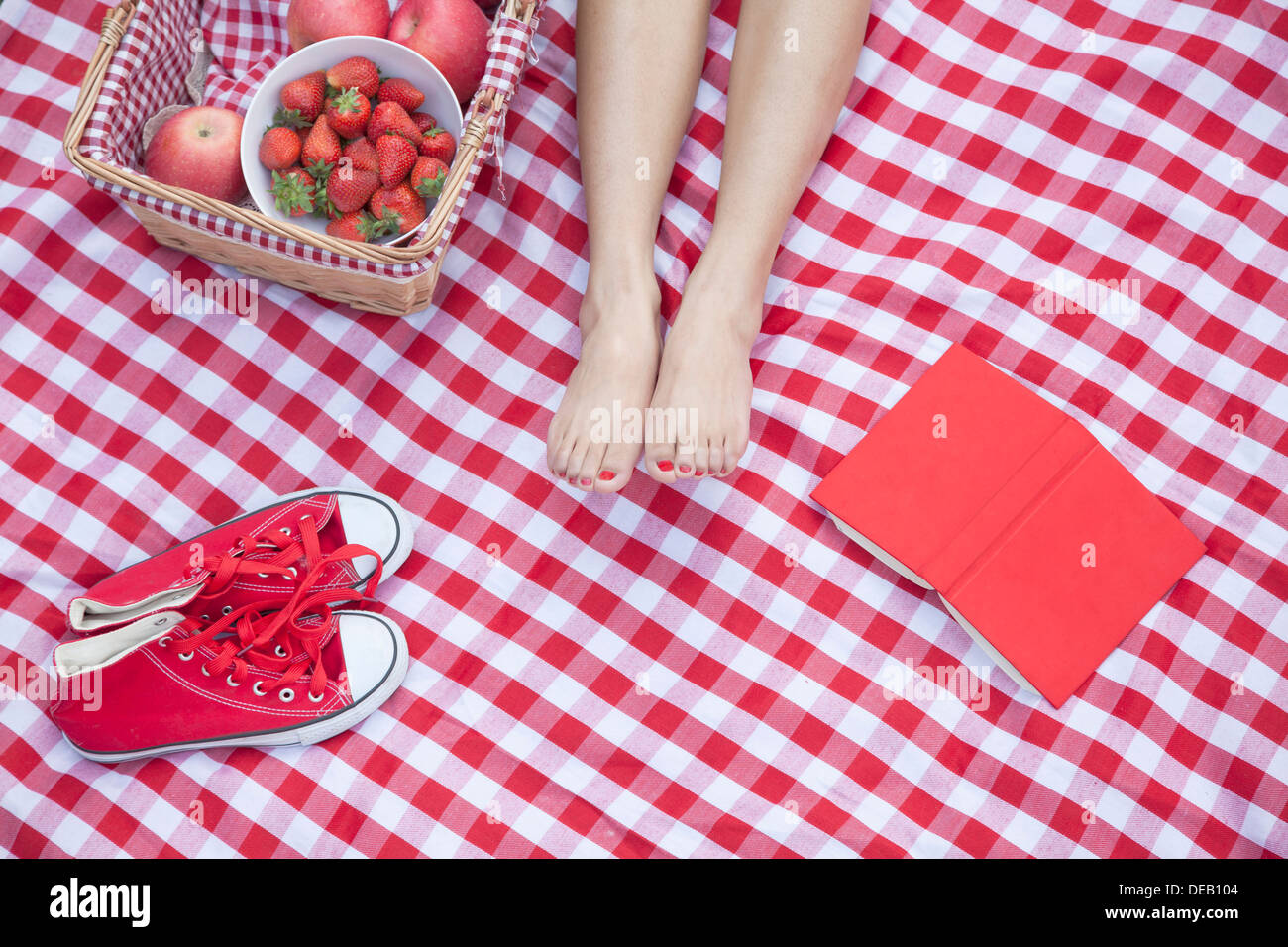 Junge Frau die Füße auf einer karierten Decke mit einem Picknick-Korb, Schuhe und ein Buch Stockfoto