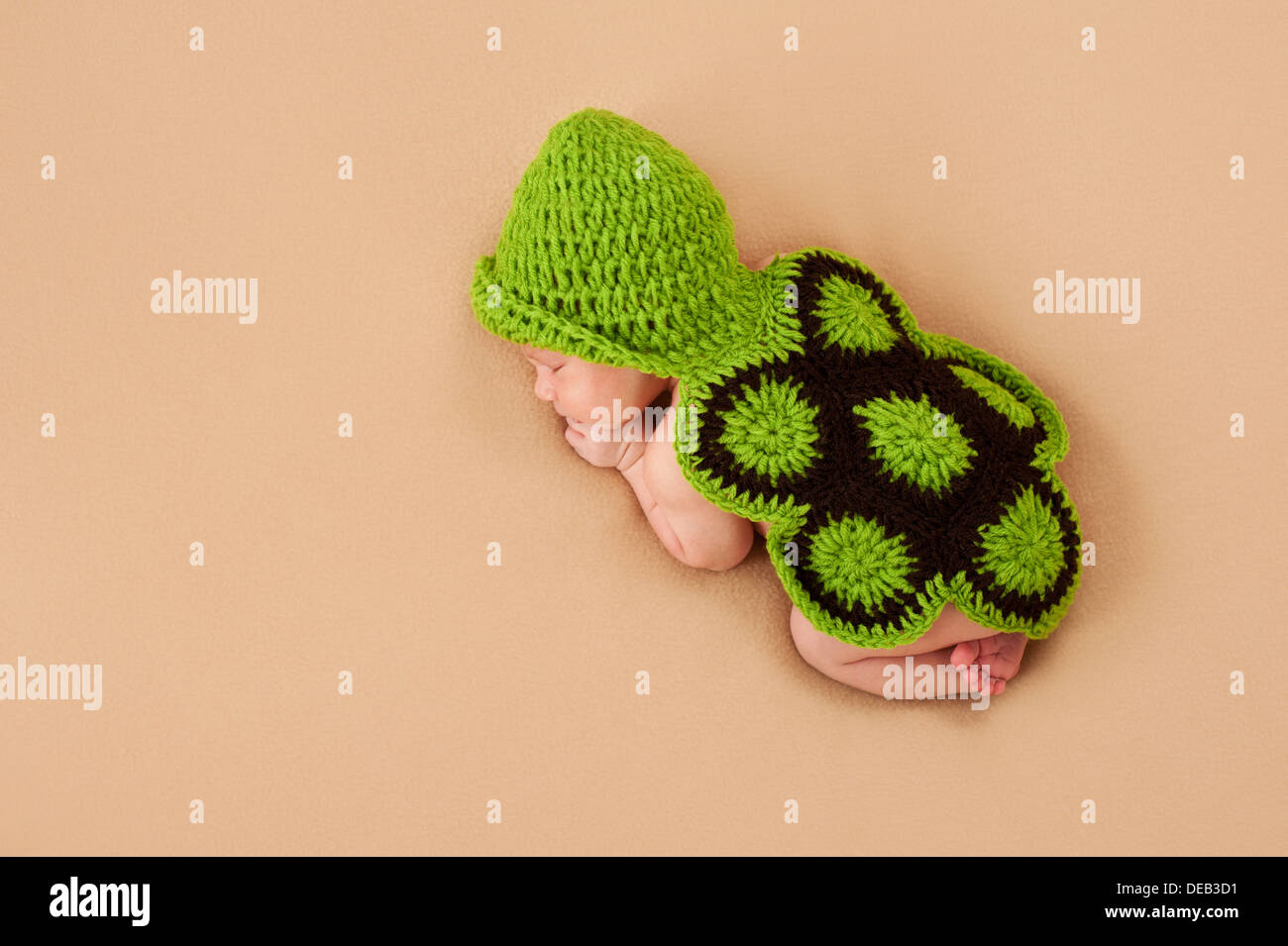 Schlafenden neugeborenen Baby Schildkröte Kostüm Stockfoto