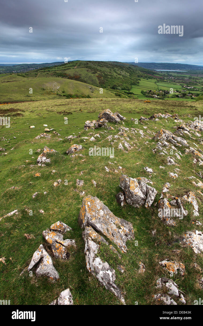 Sommer-Blick über Crook Peak, Somerset Levels, Mendip Hills, Somerset County, England Stockfoto