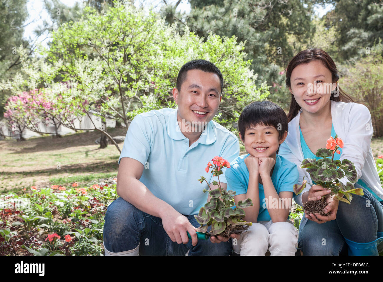 Porträt der Familie Blumen Pflanzen. Stockfoto