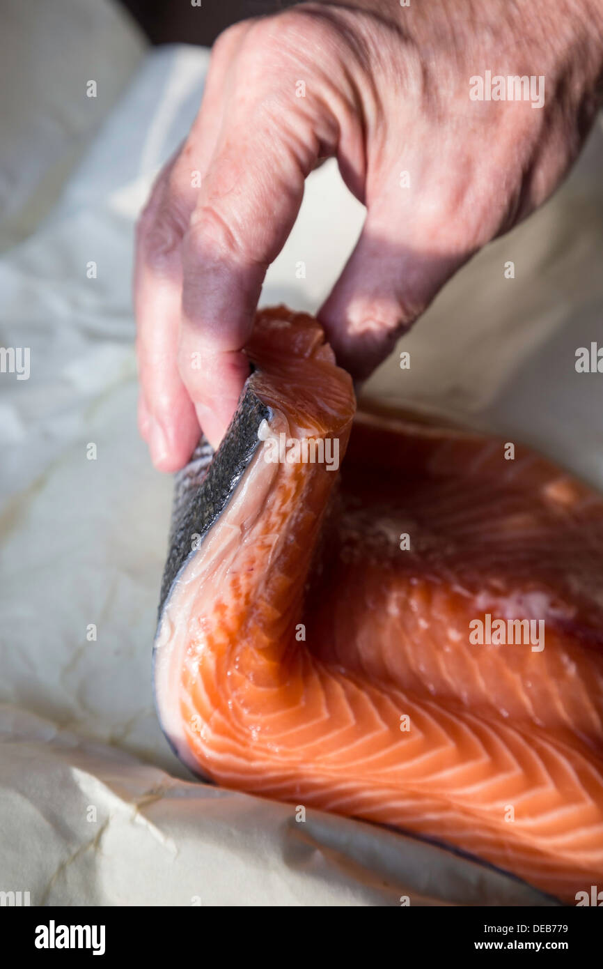 Close - up, Frisches Lachsfilet Stockfoto