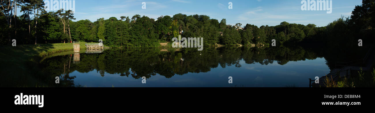 See Bäume Sonnenschein Wasserreflexion klarer Himmel Stockfoto