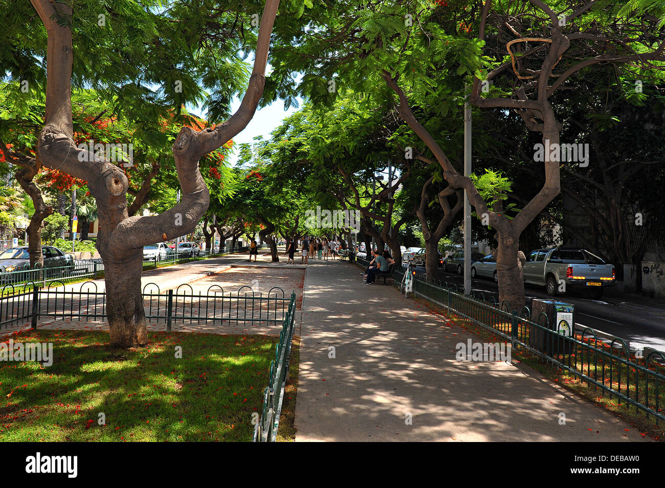 Ein Abschnitt im Rothschild Boulevard, Tel Aviv, Israel Stockfoto