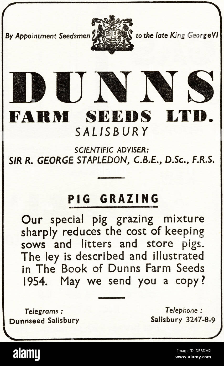 Werbung Werbung DUNNS FARM Samen LTD von Salisbury England UK Magazin Anzeige ca. 1954 durch königliche Ernennung zum König George VI Stockfoto