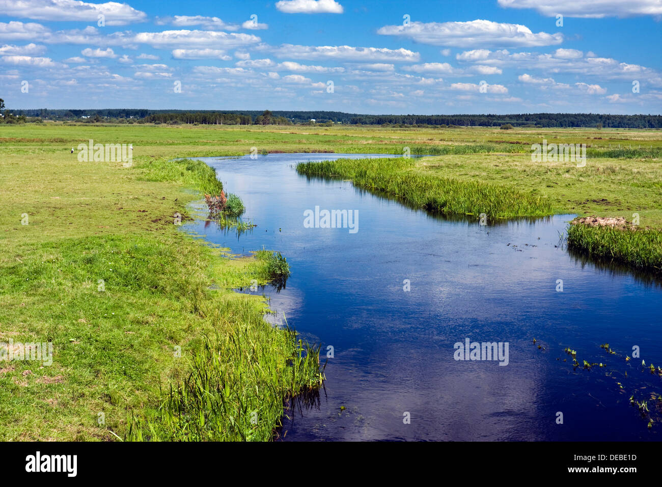 Biebrza-Fluss in der Nähe von Jaglowo, Biebrzanski Nationalpark, Polen, Europa Stockfoto