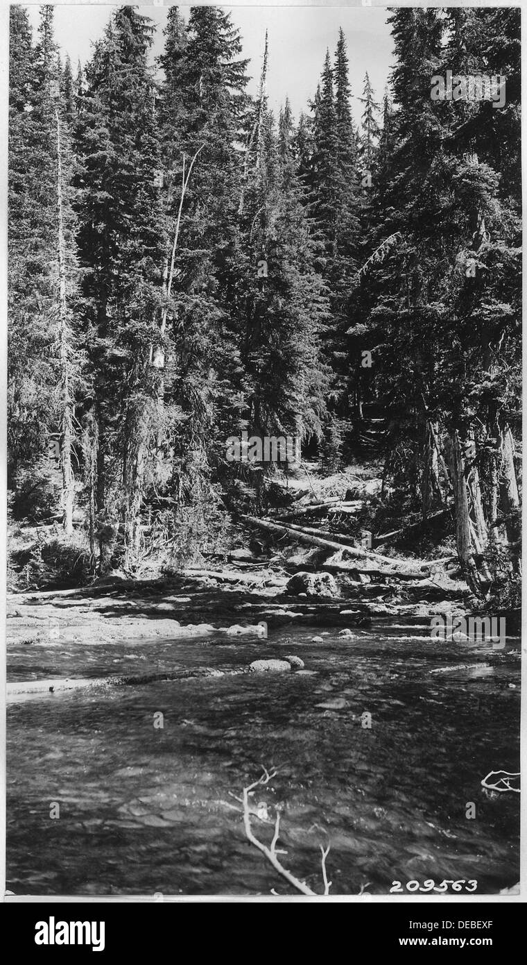 Boundary Springs, am Anfang des Rogue River in Oregon gelegen, ist die Quelle des Flusses. Dieser Frühling ist bekannt für sein unberührtes Wasser und seine malerische Umgebung, die zur ökologischen Bedeutung des Flusses beiträgt. Stockfoto