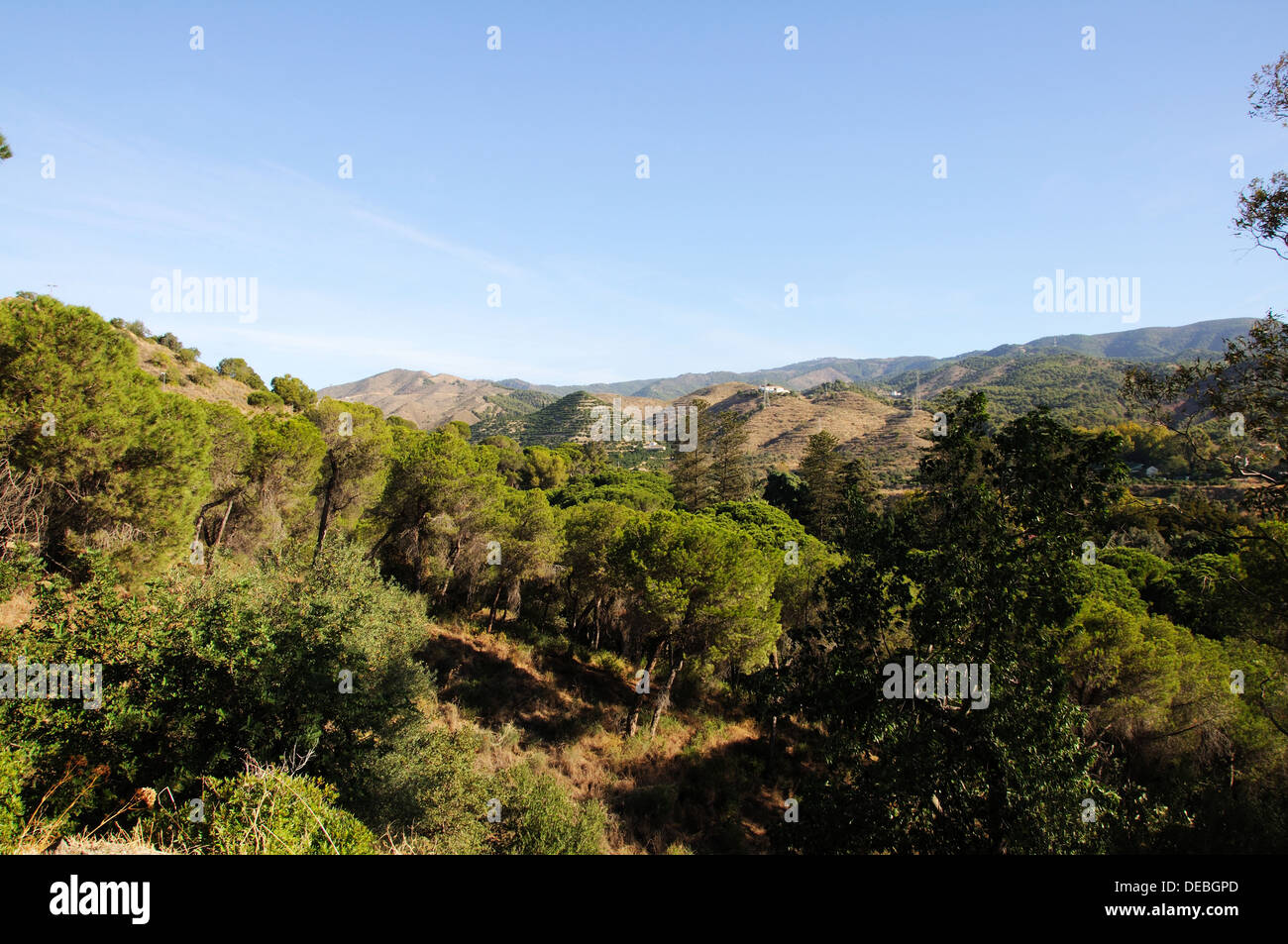 Blick auf den Berg Landschaft, Malaga, Provinz Malaga, Andalusien, Spanien, Westeuropa. Stockfoto