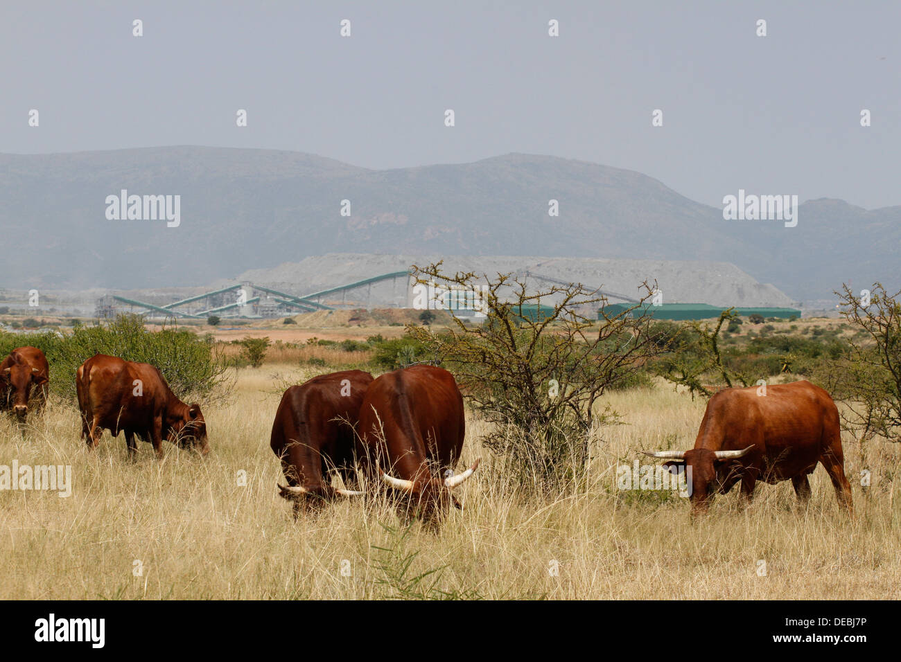 Landwirtschaftliche Flächen und Potgietersrus Platinum Mine, Limpopo, Südafrika, Stockfoto