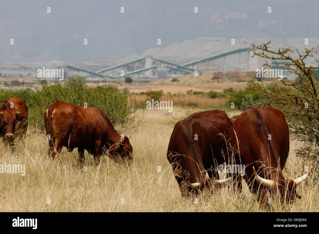 Landwirtschaftliche Flächen und Potgietersrus Platinum Mine, Limpopo, Südafrika, Stockfoto