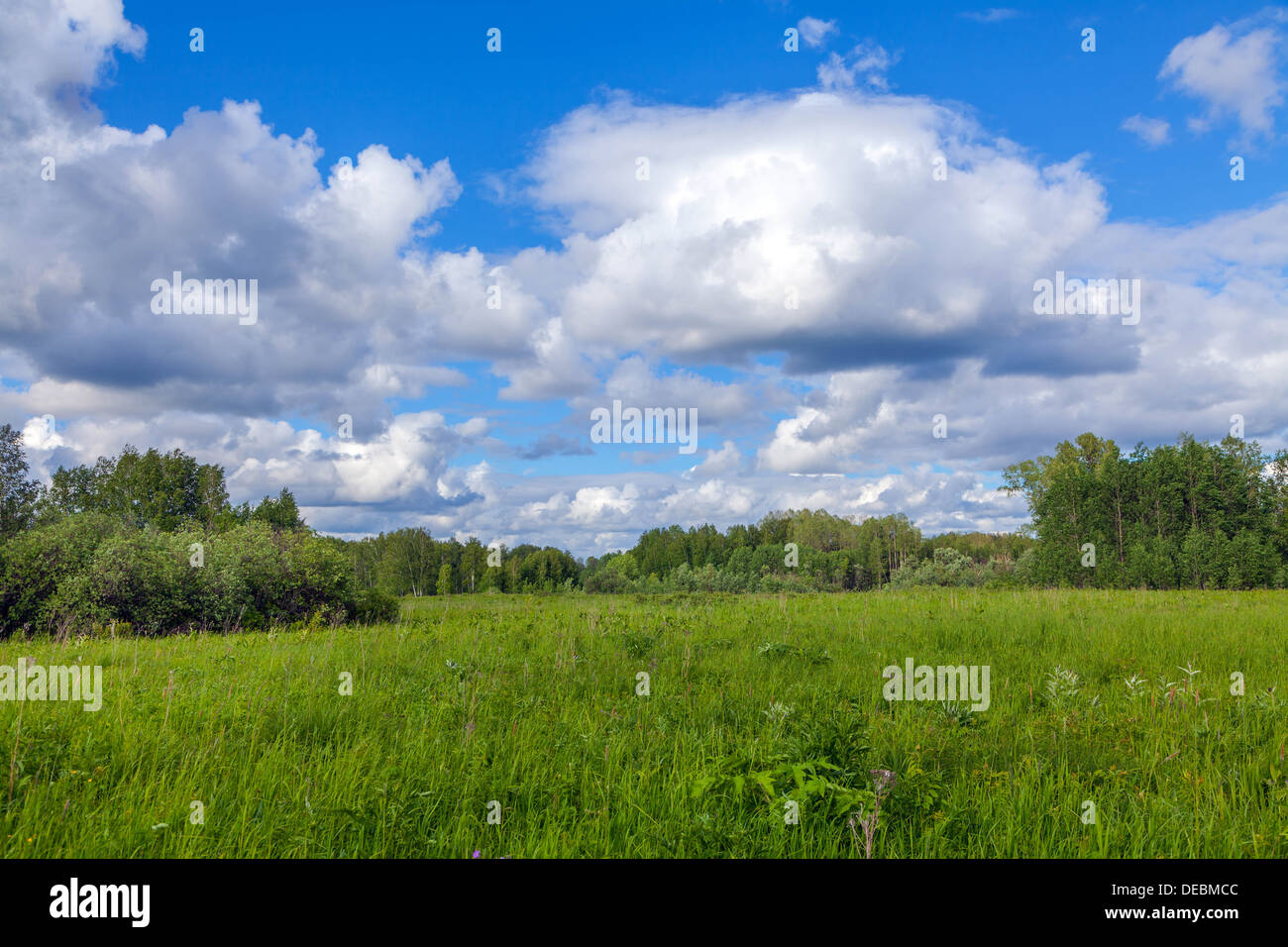 Klassische Landschaft Stockfoto