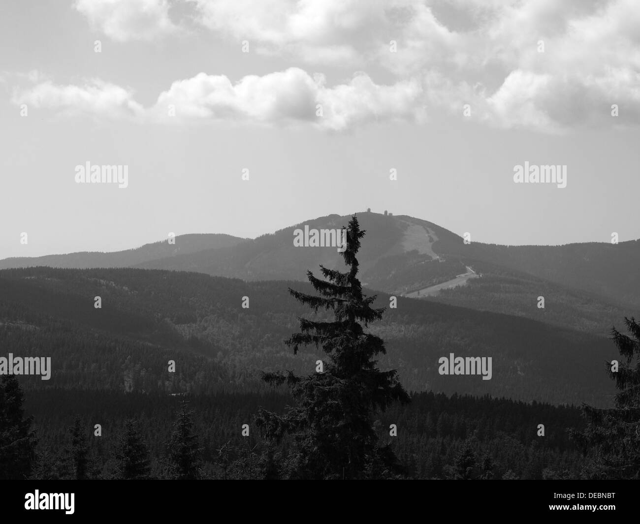 Blick vom Berg Zwercheck zum Berg großer Arber, Bayern, Bayerischer Wald, Deutschland Stockfoto
