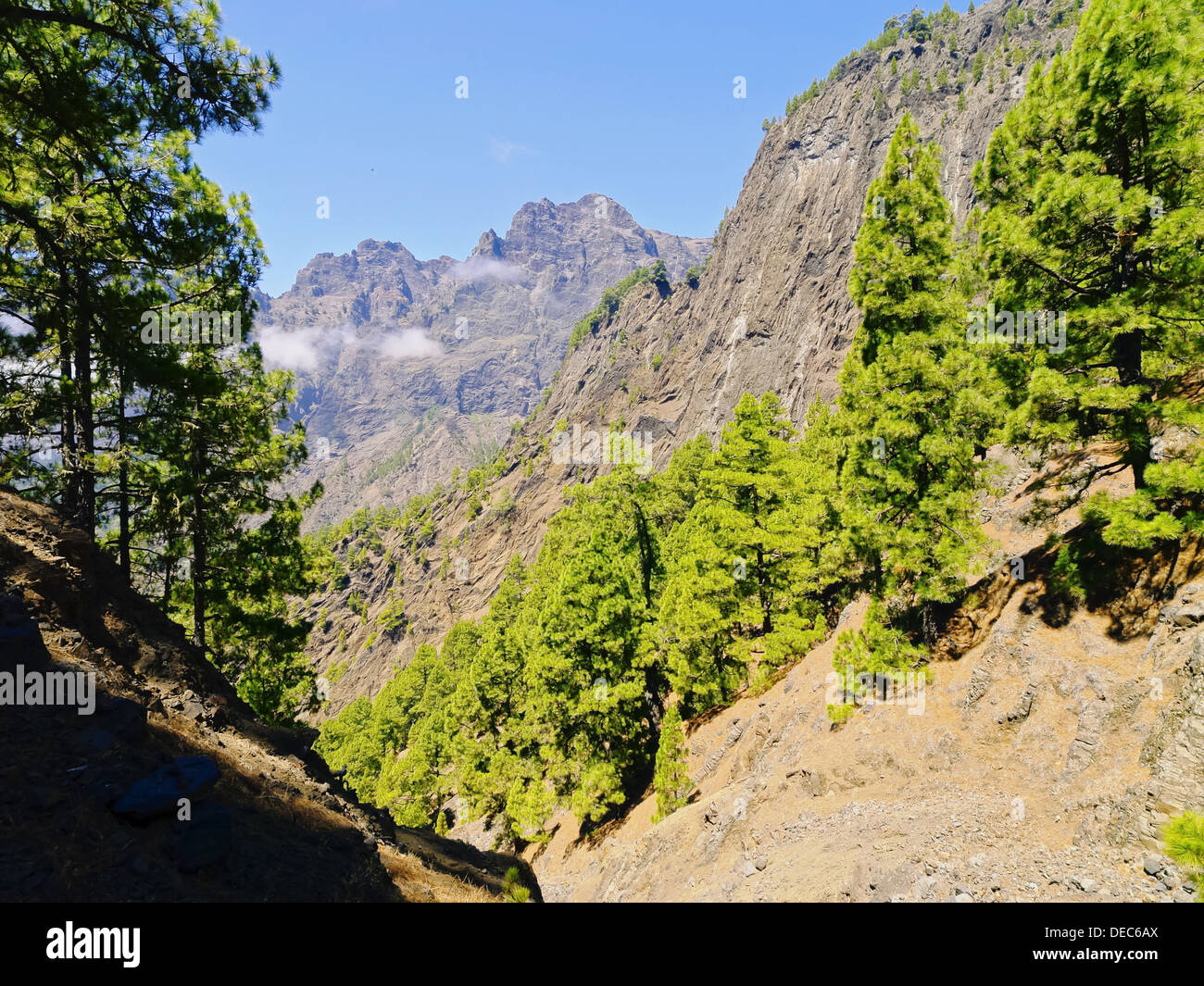 Nationalpark Caldera de Taburiente auf der Insel La Palma, Kanarische Inseln, Spanien Stockfoto