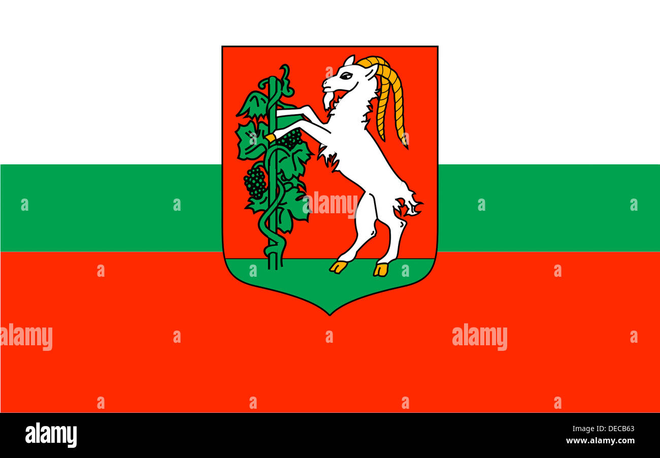Flagge von der polnischen Stadt Lublin. Stockfoto