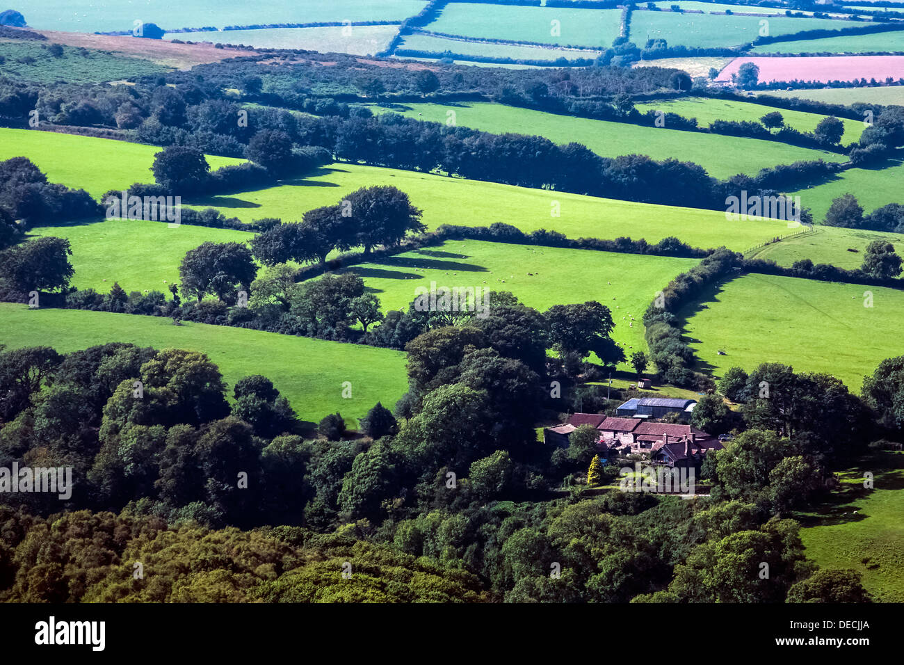 Exmoor Ackerland Stockfoto