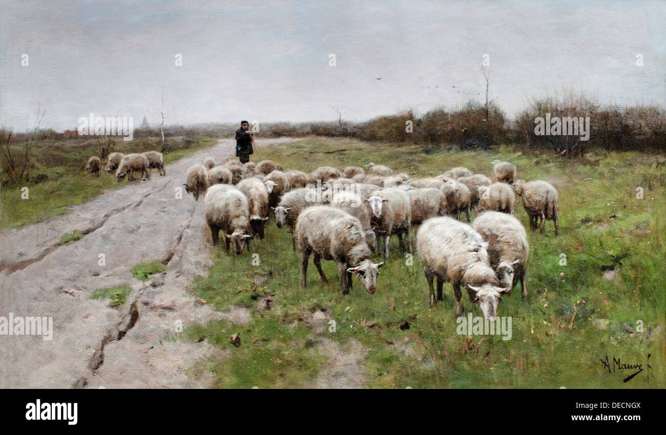 Schapen Op de Wei - Schafe auf der Wiese 1880 von Anton Mauve holländischen Niederlanden 1838-1888 Stockfoto