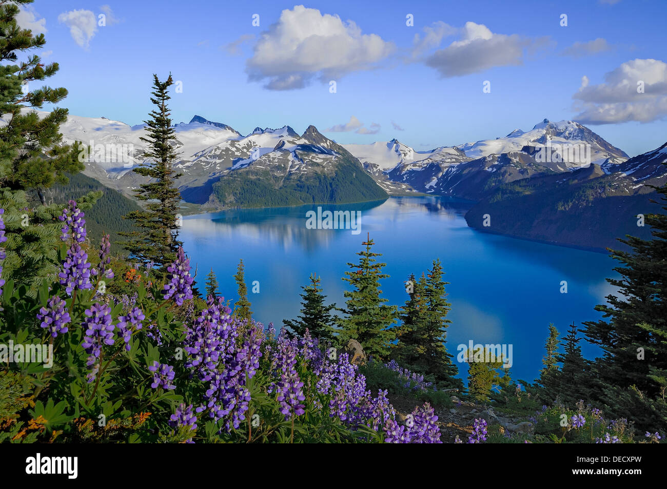 Garibaldi See von Panorama Ridge, Garibaldi Provincial Park, Britisch