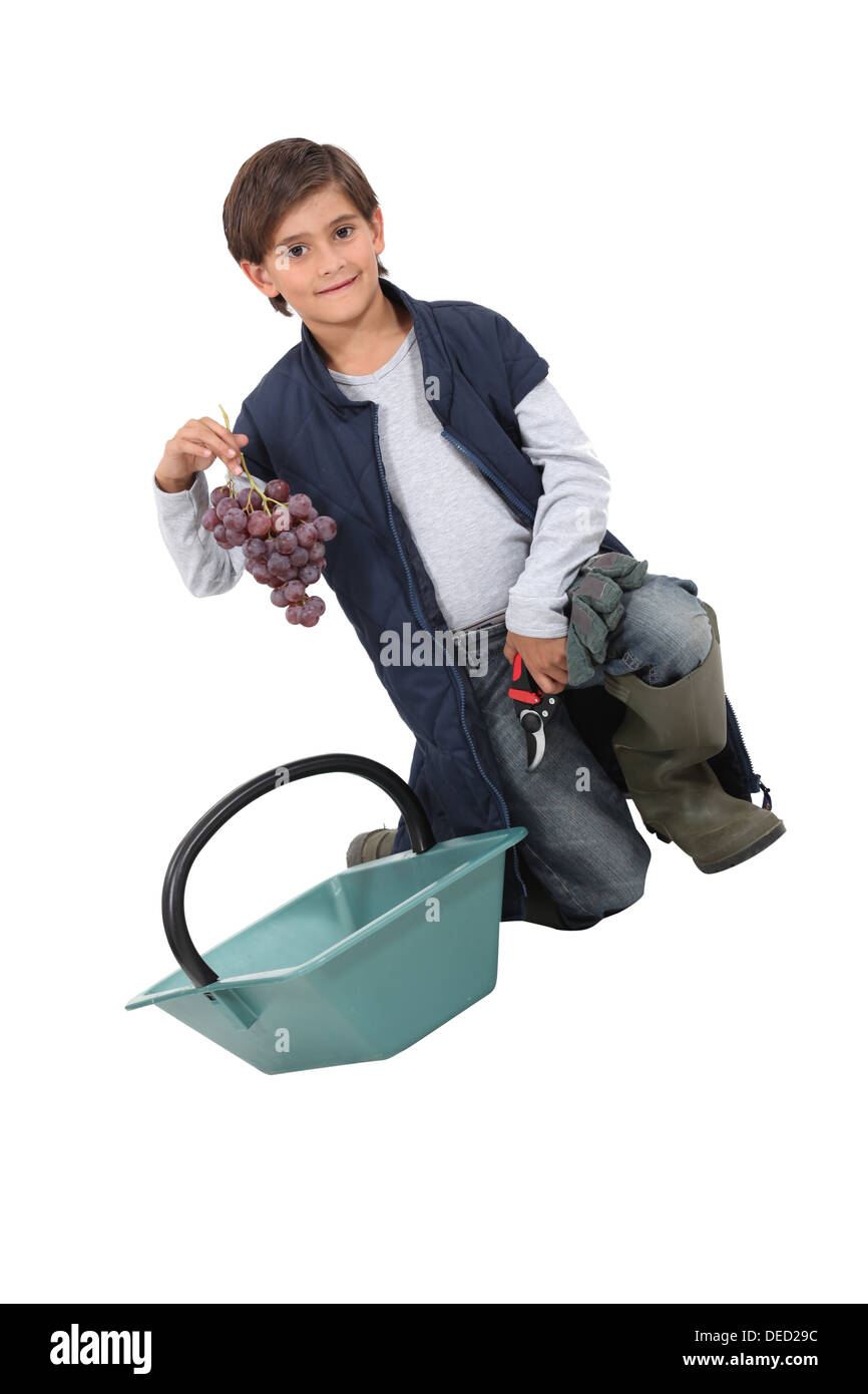 kleiner Junge gekleidet als Traube-picker Stockfoto
