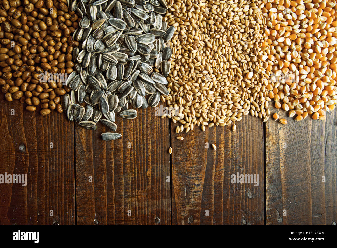 Landwirtschaftlichen Getreide auf Holztisch Stockfoto