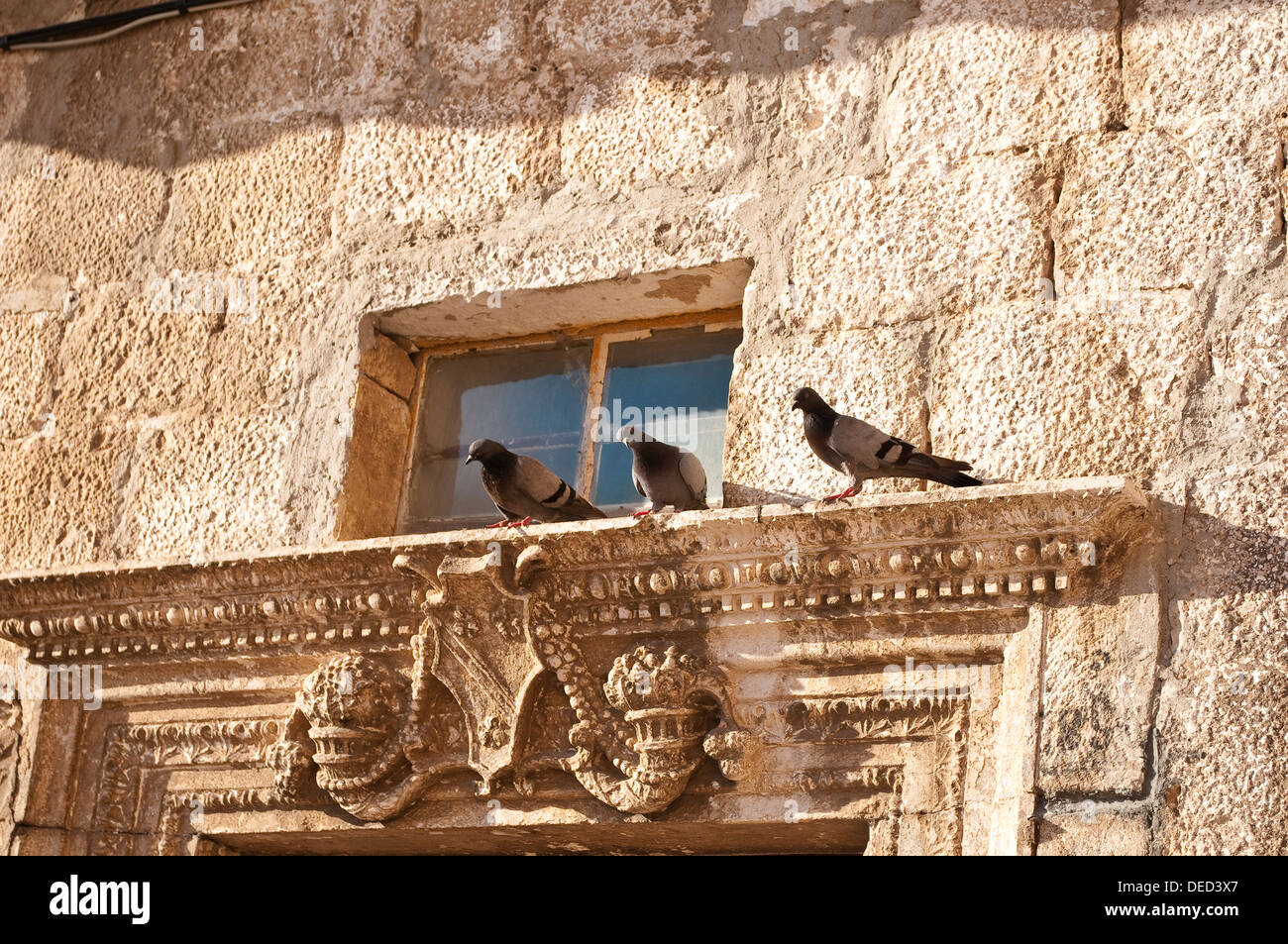 Detail von einem alten Steinhaus mit Tauben auf auf die Tür Architravs, Old Town, Korcula, Kroatien Stockfoto