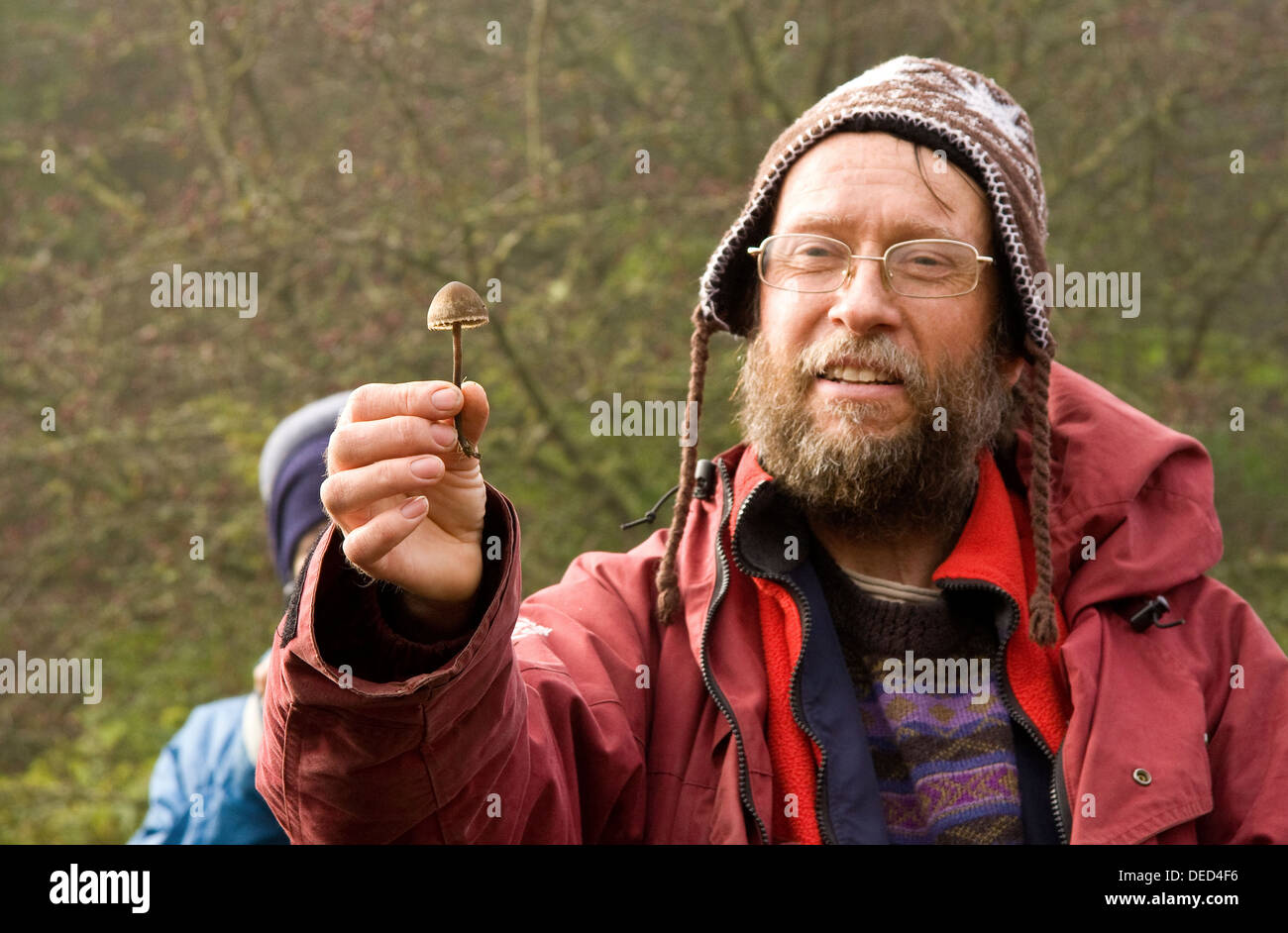Mykologen, führt Kevin Gilfedder einen öffentlichen Pilze Streifzug in Wäldern in der Nähe von Baslow im Herbst im Peak District, Derbyshire Stockfoto