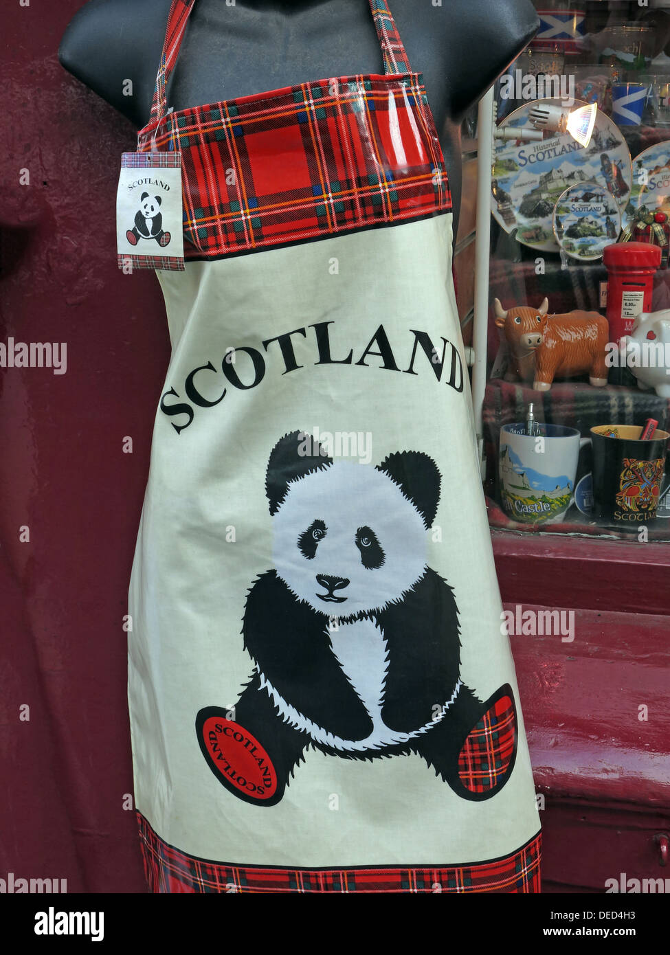 Panda Geschenk Edinburgh Schottland PVC Küche Schürze Souvenir Stockfoto