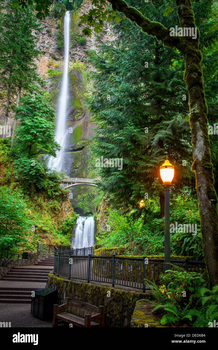 Gehweg, Multnomah Falls entlang der Columbia River Gorge, Oregon USA Stockfoto