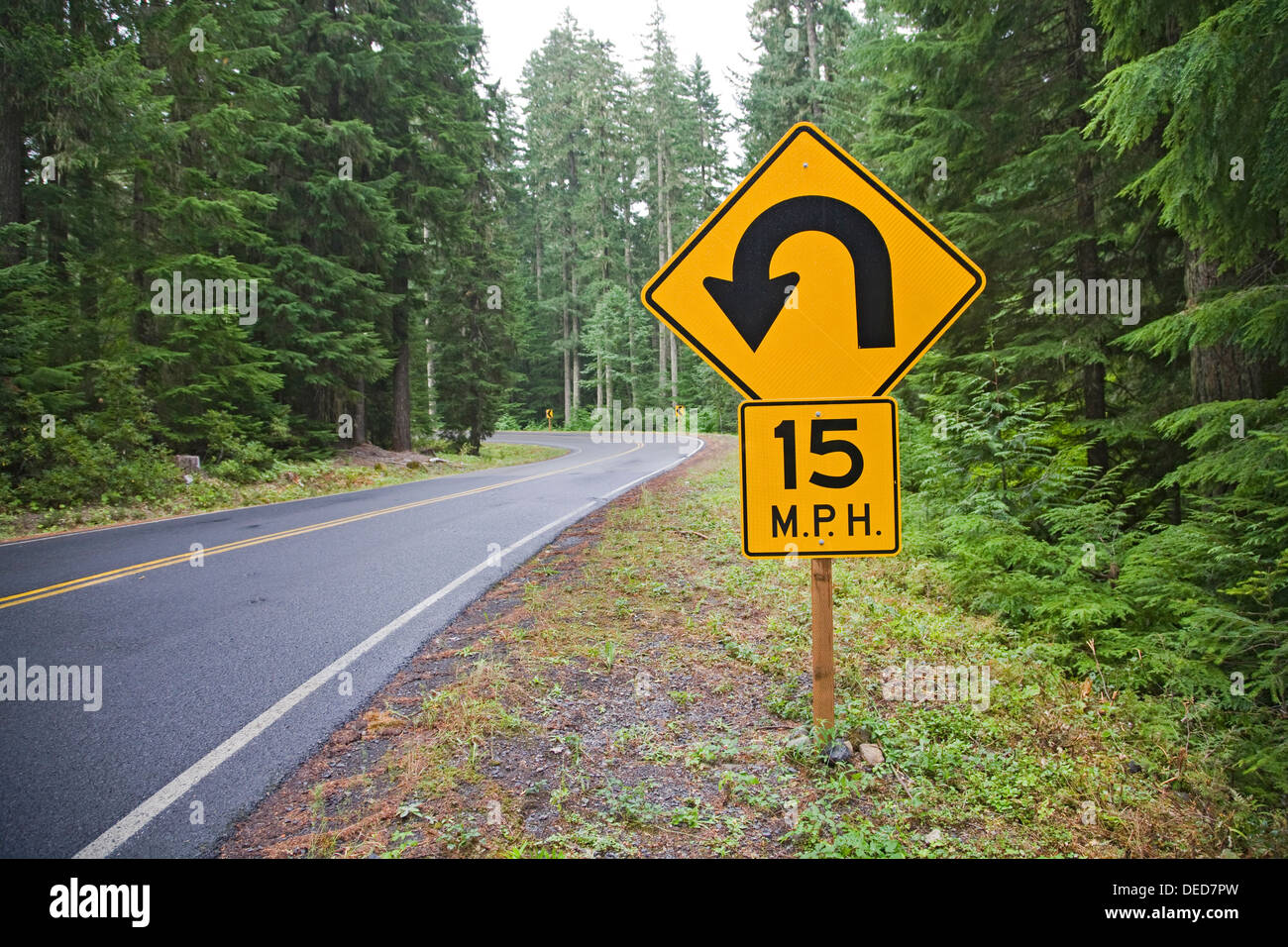 Ein Schild an einem Wald Straße vor einen U-Turn in der Cascade Mountains of Central Oregon Stockfoto