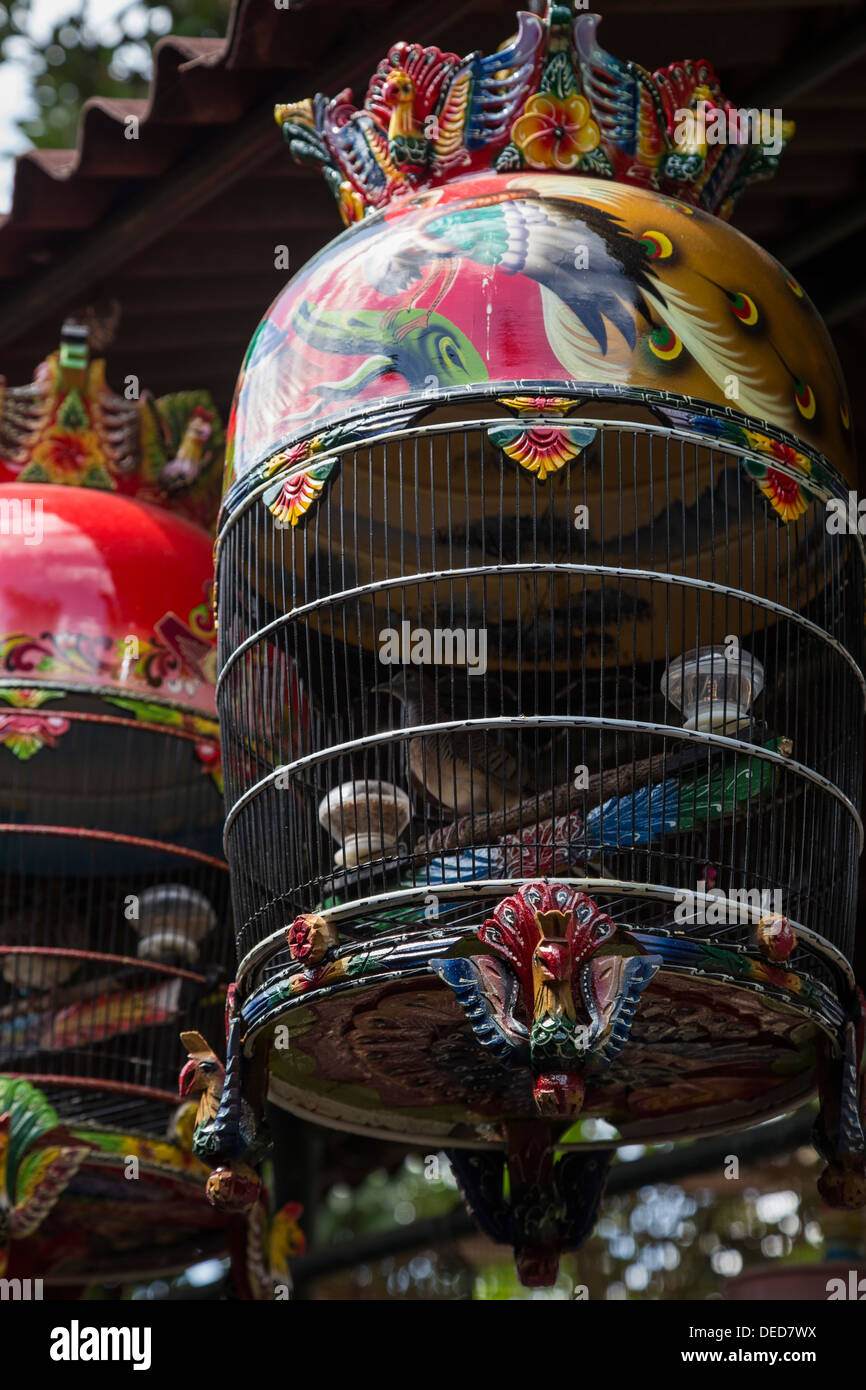 Vogelmarkt Pasar Ngasem oder Yogyakarta Vogelmarkt ist ein beliebter Ort für Liebhaber der Vögel und exotische Vogelkäfige. Stockfoto