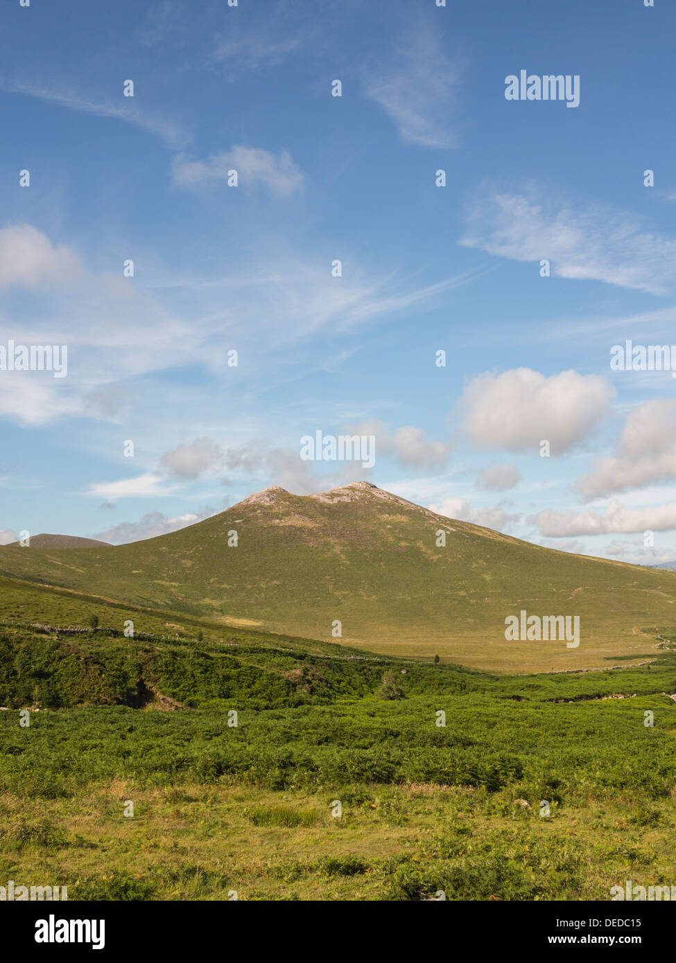 zu den kleineren Bergen des Berges Mourne Bereich Irland Henne Stockfoto