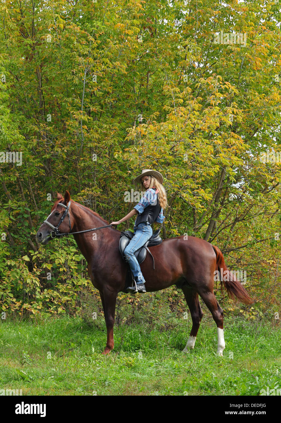 Schöne junge Frau in Cowboy-Hut auf einem Pferd an einem sonnigen Herbsttag Stockfoto