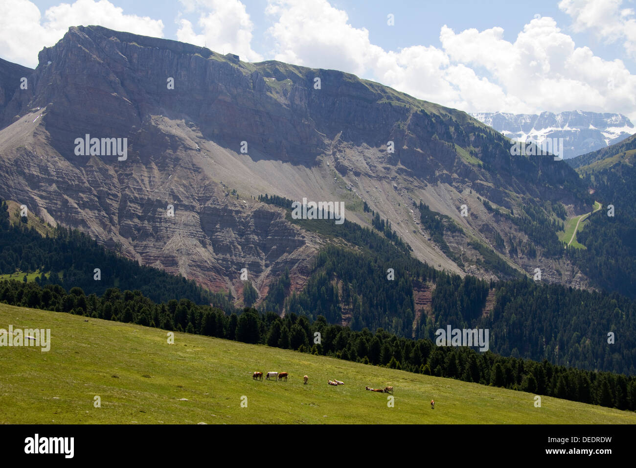 Panorama Dolomiten Alpen Italien Stockfoto