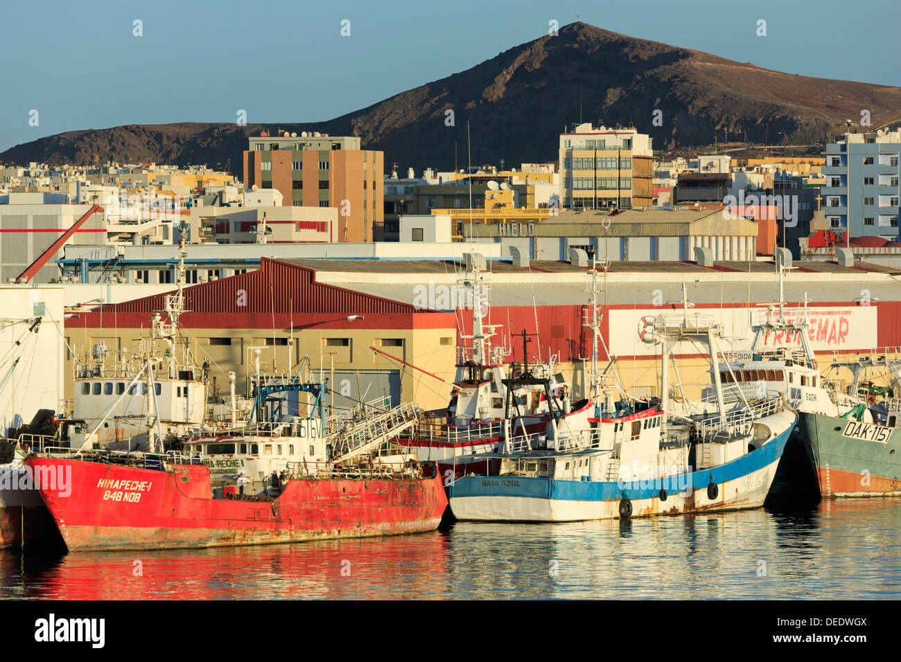 Angelboote/Fischerboote im Hafen von Santa Catalina, Las Palmas Stadt, Insel Gran Canaria, Kanarische Inseln, Spanien, Atlantik, Europa Stockfoto