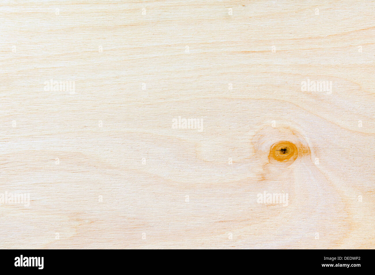 detaillierten Sperrholz Oberfläche mit Single-Knoten Stockfoto