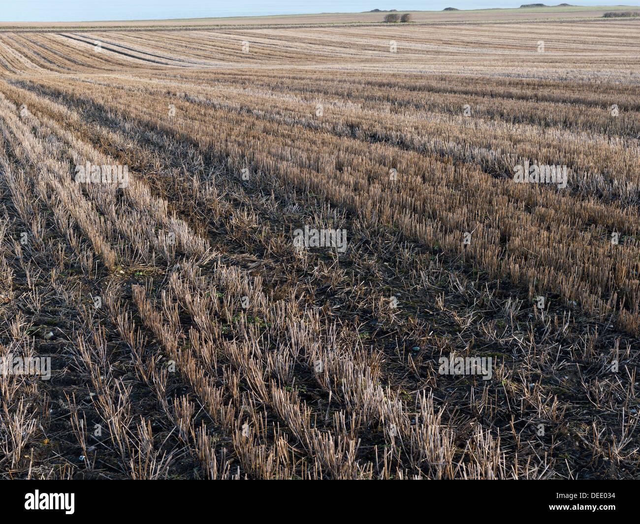 Ein Acker in die North Norfolk Dorf Weybourne Stockfoto