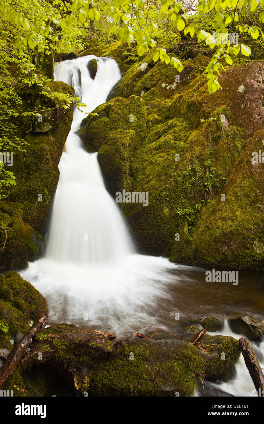 Teil des Stock Ghyll Force Wasserfall in der Nähe von Ambleside, Nationalpark Lake District, Cumbria, England, Vereinigtes Königreich, Europa Stockfoto