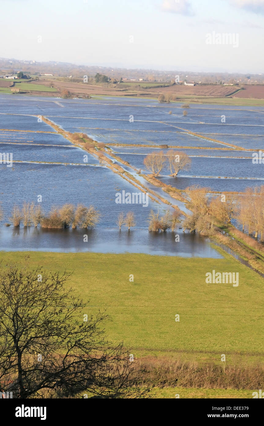 Überflutete Weiden und Hof verfolgen auf West Sedgemoor, Somerset Levels, nach Wochen der Starkregen, Somerset, England, UK Stockfoto