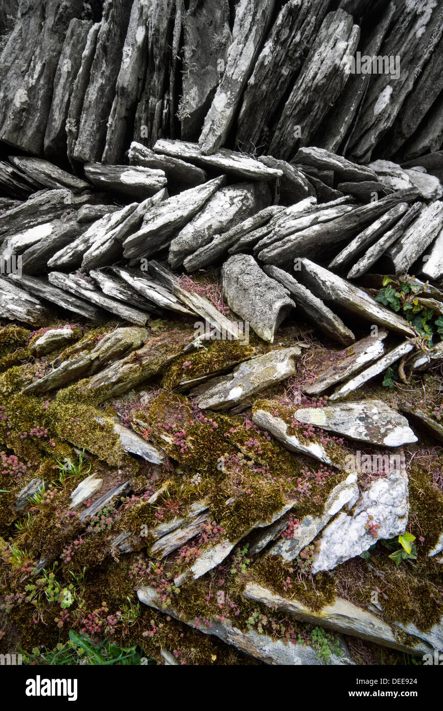 Trockenmauer, Cornish Küstenwegs Stockfoto