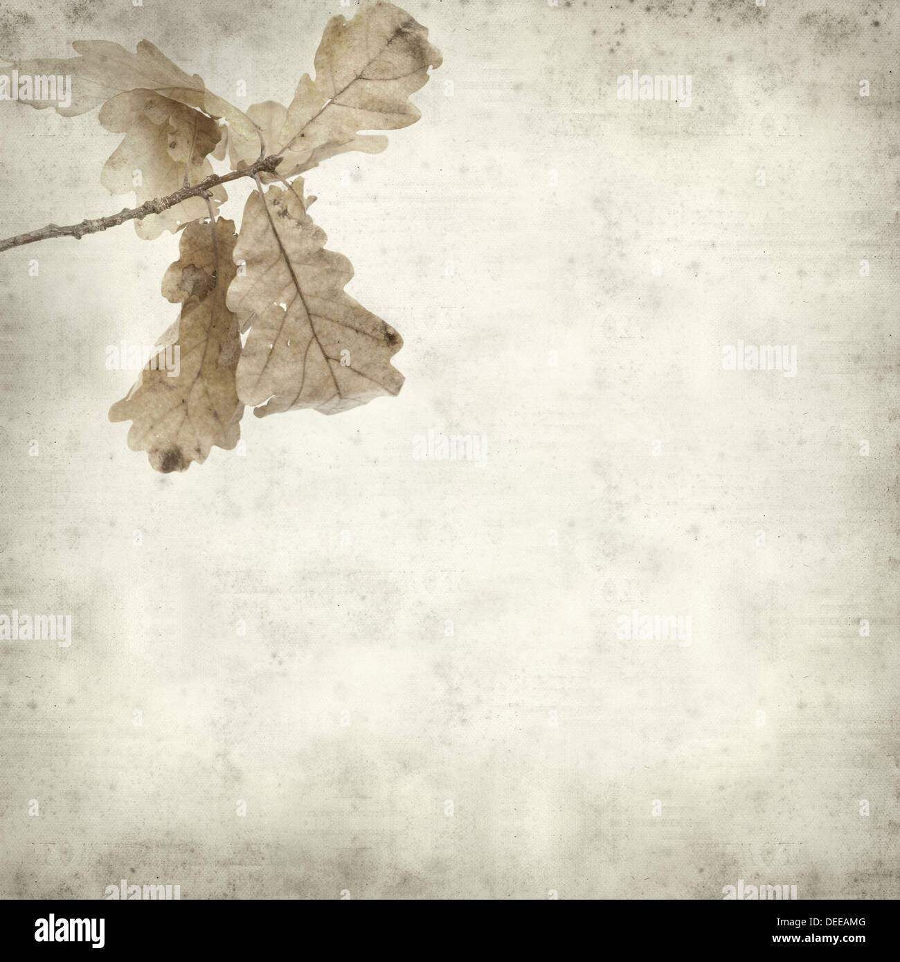 strukturierten alten Papierhintergrund mit herbstlichen trockene Eiche Blätter Stockfoto