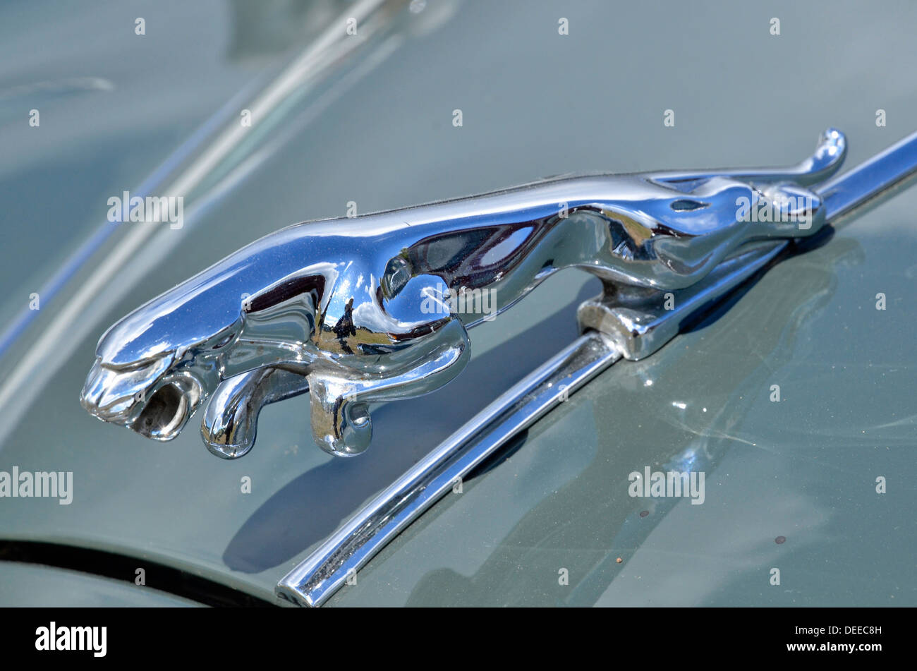 Jaguar Symbol Stockfotos und bilder Kaufen Alamy