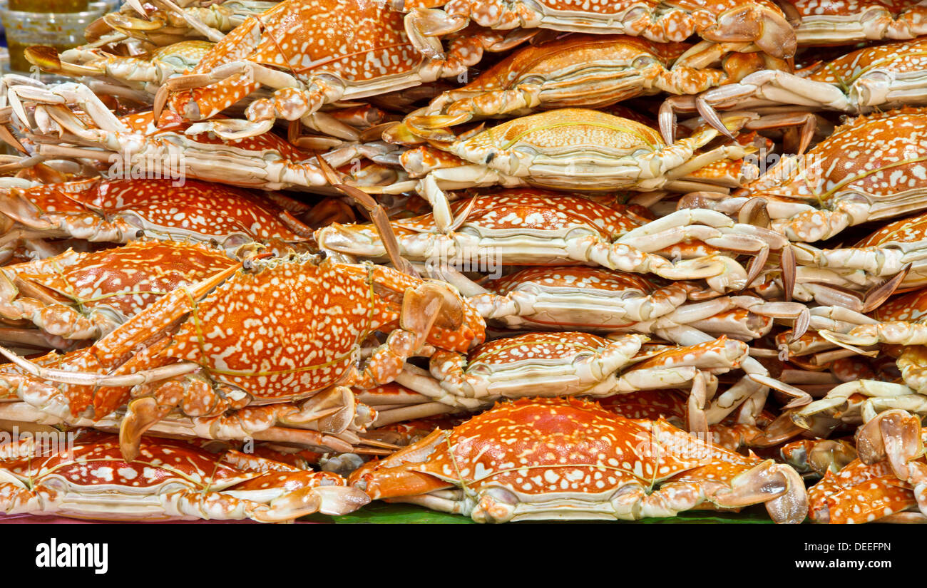 Gedämpfte Krabben für die Mahlzeitzeit Stockfoto