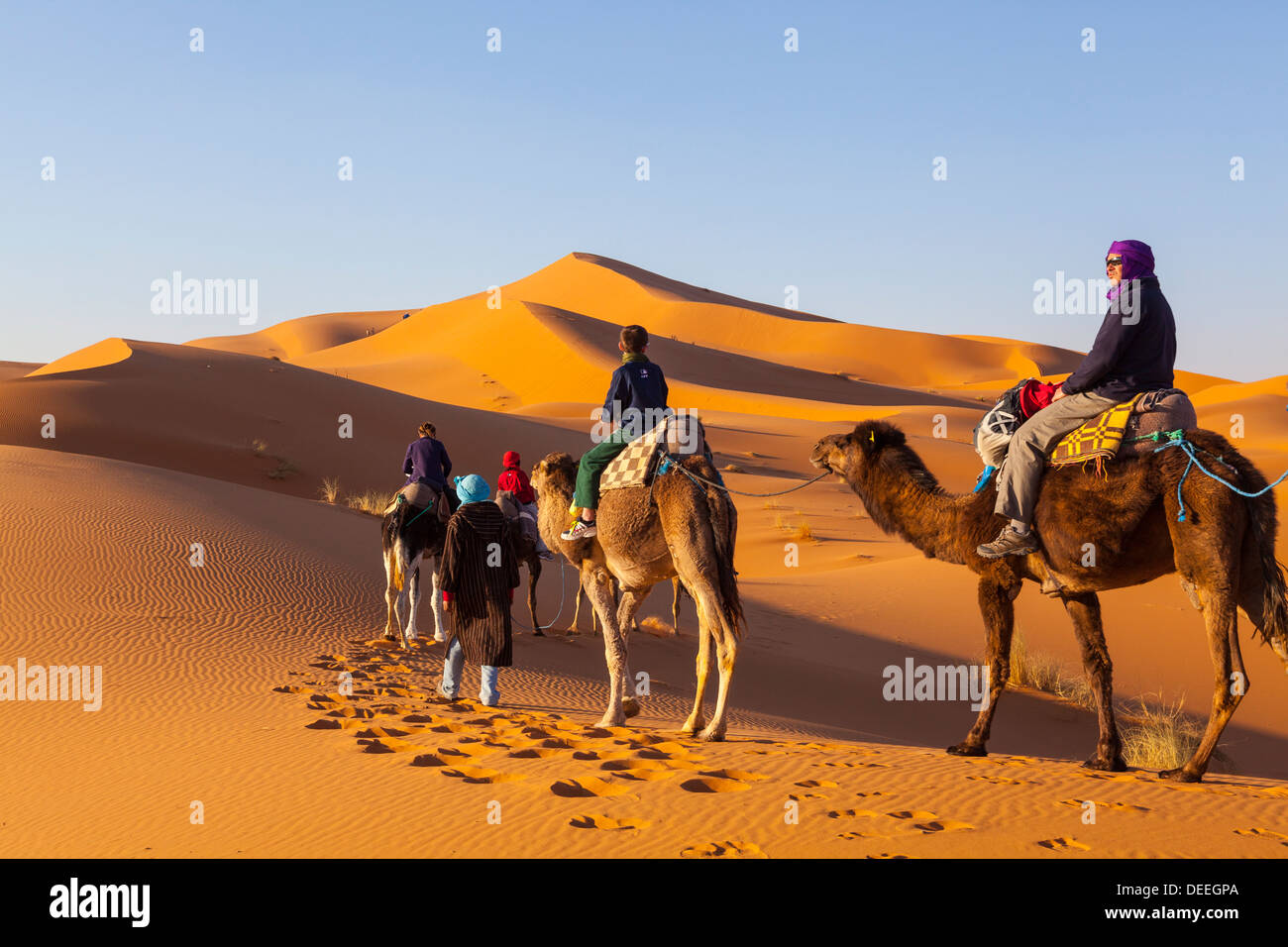 Touristen auf Kamelsafari, Sahara Wüste, Merzouga, Marokko, Nordafrika, Afrika Stockfoto