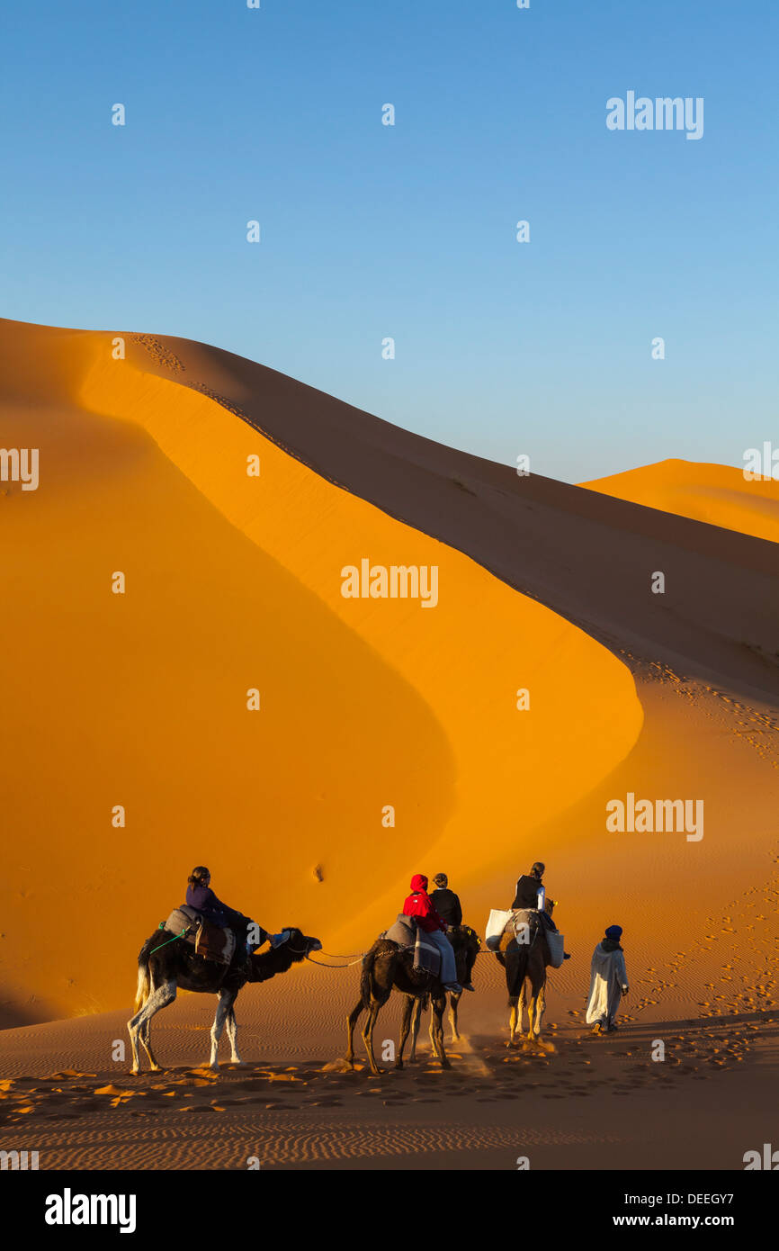 Touristen auf Kamelsafari, Sahara Wüste, Merzouga, Marokko, Nordafrika, Afrika Stockfoto