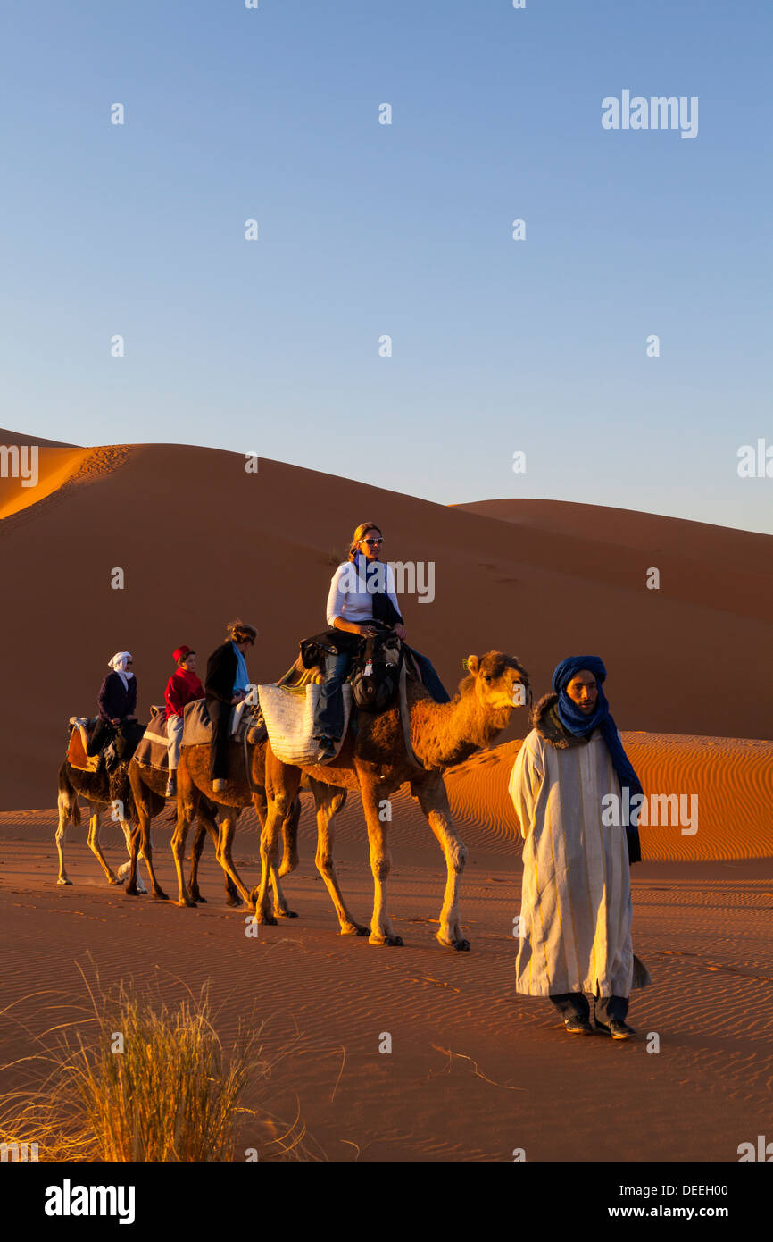 Touristen auf Kamelsafari, Sahara Wüste, Merzouga, Marokko, Nordafrika, Afrika Stockfoto