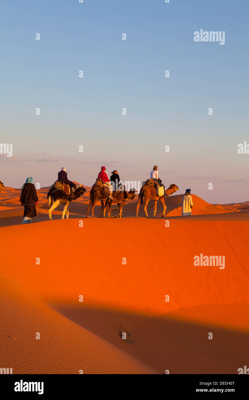 Touristen auf Kamelsafari, Sahara Wüste, Merzouga, Marokko, Nordafrika, Afrika Stockfoto