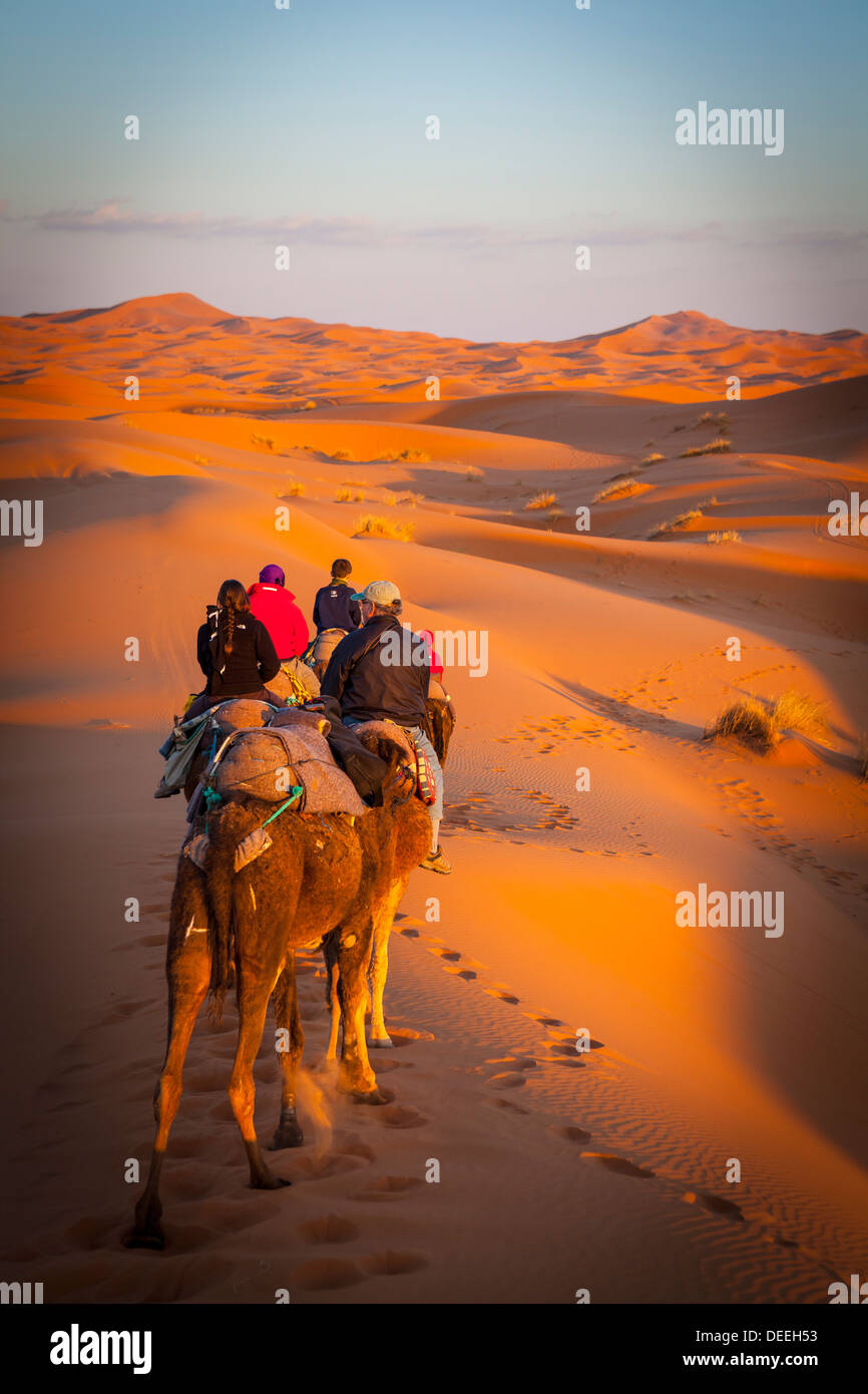 Touristen auf Kamelsafari, Sahara Wüste, Merzouga, Marokko, Nordafrika, Afrika Stockfoto