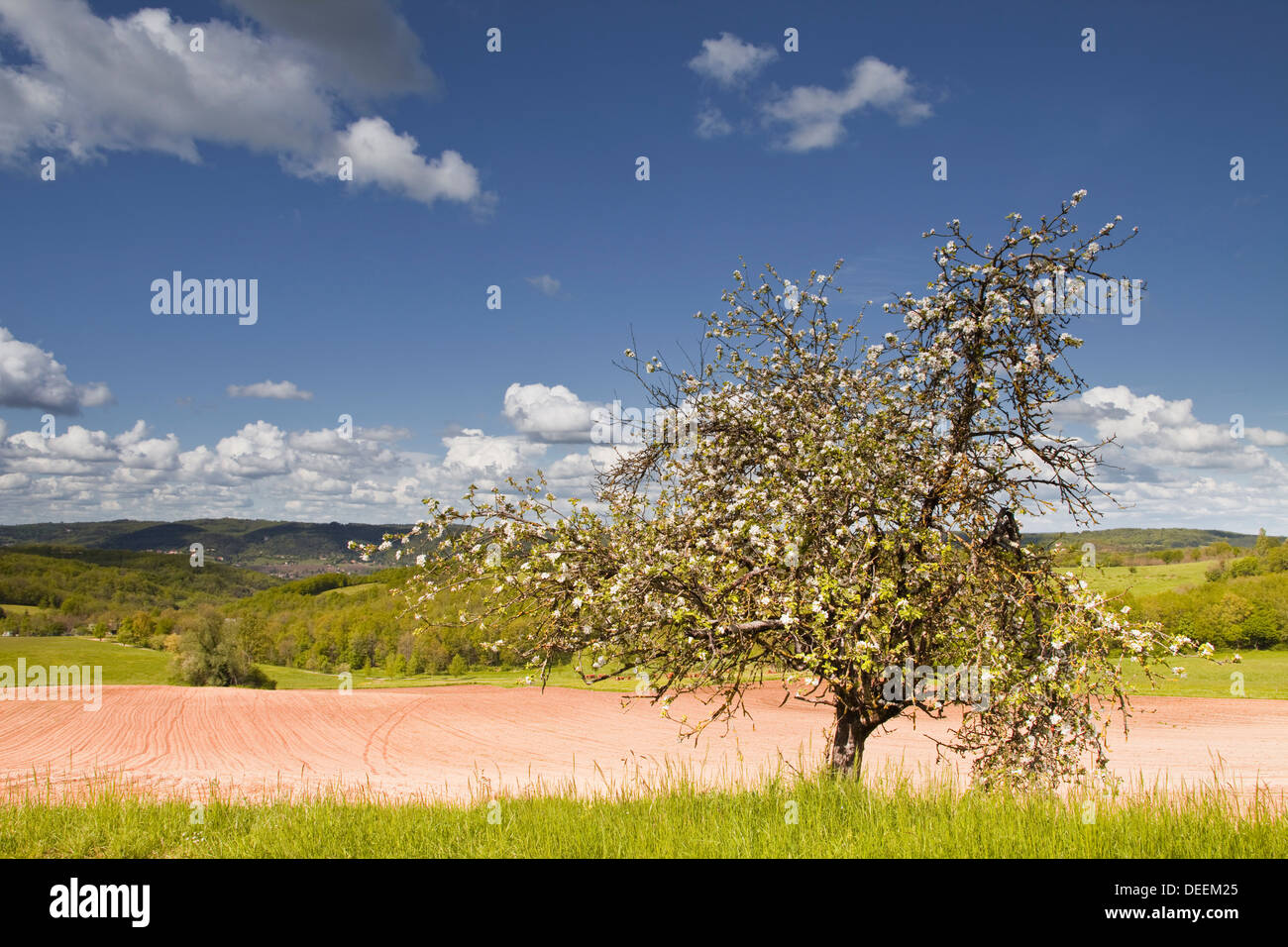 Die Dordogne-Landschaft im Frühling, Dordogne, Frankreich, Europa Stockfoto