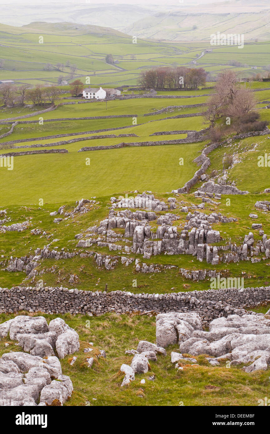 Bereich Winskill Steinen der Yorkshire Dales, Yorkshire, England, Vereinigtes Königreich, Europa Stockfoto